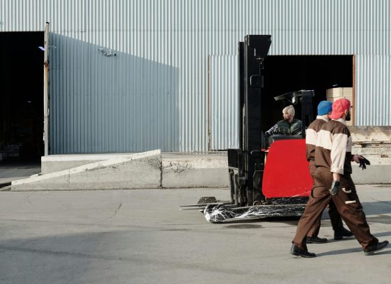 pexels-tiger-lily-4487447